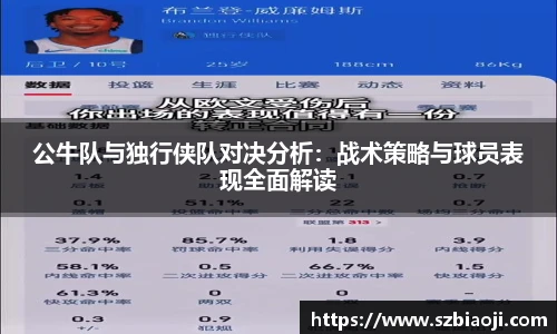 公牛队与独行侠队对决分析：战术策略与球员表现全面解读