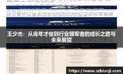 王少杰：从青年才俊到行业领军者的成长之路与未来展望