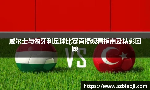 威尔士与匈牙利足球比赛直播观看指南及精彩回顾
